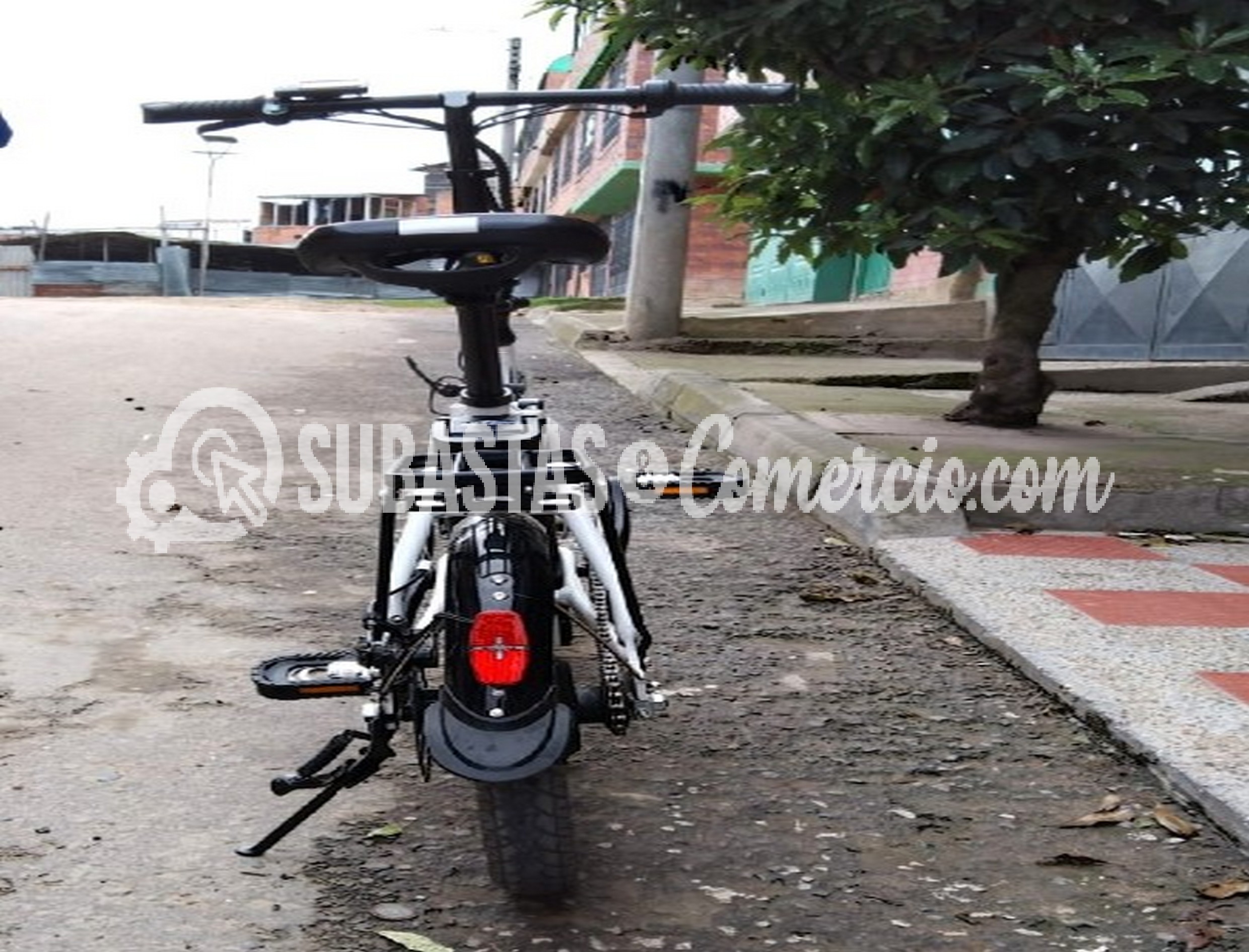 nt21anh144 foto trasera.JPG